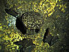 Click image for larger version

Name:	IMG_1773.JPG
Views:	1108
Size:	4.40 MB
ID:	12206