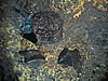 Click image for larger version

Name:	IMG_1775.JPG
Views:	1157
Size:	5.58 MB
ID:	12208