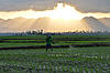 Click image for larger version

Name:	ImageUploadedByTapatalk1433160775.825475.jpg
Views:	829
Size:	294.2 KB
ID:	12957
