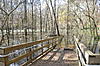Click image for larger version

Name:	DSC_0075.jpg
Views:	679
Size:	2.30 MB
ID:	19246