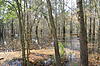 Click image for larger version

Name:	DSC_0088.jpg
Views:	637
Size:	2.30 MB
ID:	19250
