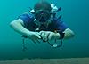 Click image for larger version

Name:	underwater selfie.jpg
Views:	702
Size:	26.8 KB
ID:	20504