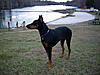 Click image for larger version

Name:	IMGP0119.JPG
Views:	351
Size:	2.02 MB
ID:	4842