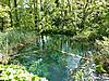 Click image for larger version

Name:	cave spring!.jpg
Views:	1299
Size:	170.9 KB
ID:	5250