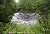 Click image for larger version

Name:	Siphon5888.jpg
Views:	1503
Size:	360.2 KB
ID:	6750