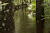 Click image for larger version

Name:	osptrail.jpg
Views:	519
Size:	251.6 KB
ID:	6767