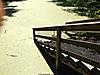 Click image for larger version

Name:	ImageUploadedByTapatalk1340987339.407836.jpg
Views:	514
Size:	231.4 KB
ID:	6769