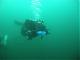 College Diver's Avatar