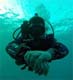 Texas Torpedo's Avatar