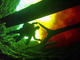 Gypsy Diver's Avatar