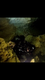 Pullnglide's Avatar