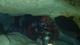 OWSI176288's Avatar